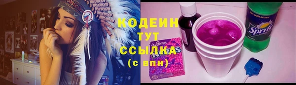 ГАЛЛЮЦИНОГЕННЫЕ ГРИБЫ Бородино