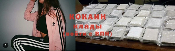 ГАЛЛЮЦИНОГЕННЫЕ ГРИБЫ Бородино