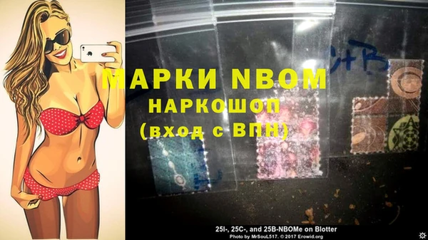ГАЛЛЮЦИНОГЕННЫЕ ГРИБЫ Бородино