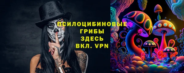 ГАЛЛЮЦИНОГЕННЫЕ ГРИБЫ Бородино